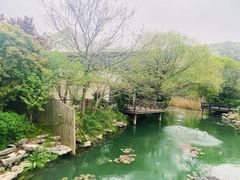 -树山生态村