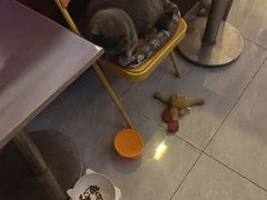 -吹泡·Triphop(棋盘店)