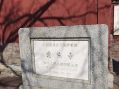 -大钟寺古钟博物馆