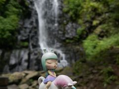 -望天鹅景区