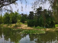-威海大乳山景区