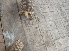 -海合安武汉极地海洋公园