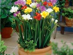 -乐享养生(东湖店)