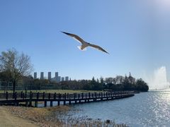 -渤公岛生态公园