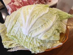 大白菜-情忆草原涮肉馆