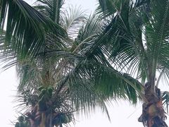 -三亚亚龙湾美高梅度假酒店Fun动冲浪