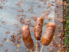 -昆山城市生态森林公园