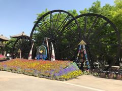 -呀路古热带植物园