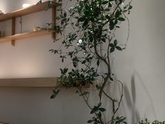 -喜茶(北京财富购物中心店)