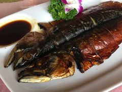 -东馆和天下特色餐饮(工农店)