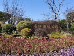 -新江湾城公园