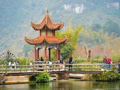 -靖西鹅泉风景区