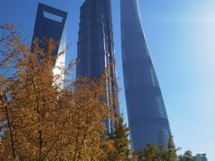 -陆家嘴中心绿地