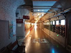 -青岛葡萄酒博物馆