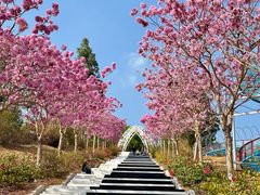 -盈香心动乐园