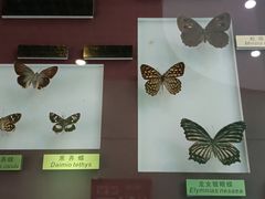 -上海昆虫博物馆