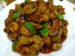 -老码头黑皮肘子锅包肉熏酱水饺(文政街店)
