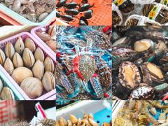 -南沙十九涌渔人码头-南门