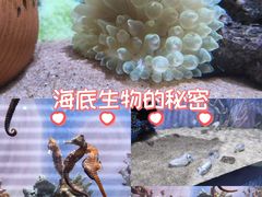 -欢乐海岸海洋奇梦馆