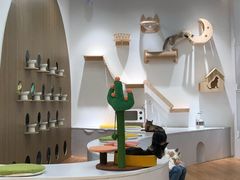 -COLOR PETS 撸猫馆·购猫·猫咖(长风大悦城店)