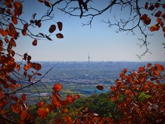 -北京西山国家森林公园