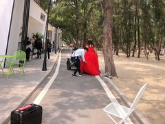 -玫瑰海岸文化旅游度假区