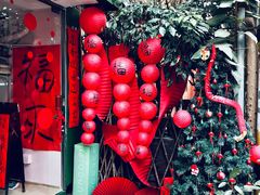 -溪岸路花鸟市场