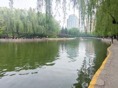 -团结湖公园