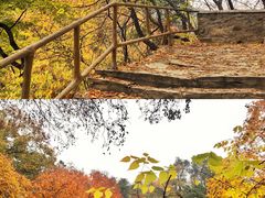 -北京上方山国家森林公园