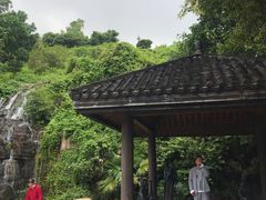 -东部华侨城