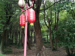 -东山香樟园