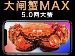 -江记大闸蟹专门店