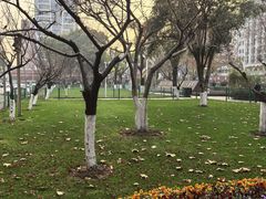 -武汉大学人民医院(首义院区)