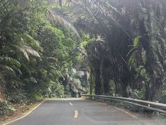 -海南热带雨林国家公园吊罗山景区