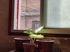 -胖哥料理(兴义里店)