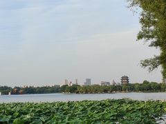 -济南大明湖景区