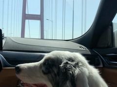 -四妹餐厅(玫瑰街店)