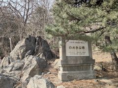 -白水寺森林公园