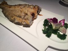 -老洋房花园饭店(绍兴路店)