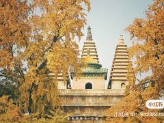 -北京石刻艺术博物馆