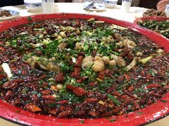 来凤鱼-东吴霸王兔(松青路店)