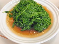 -海金滋(陕西南路店)