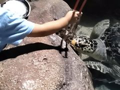 -南昌海洋公园