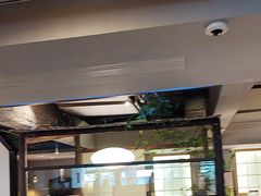 -本处·素食·融合料理(南油店)