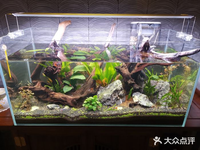 莲SPA足道养生馆(殷高路旗开坊店)图片