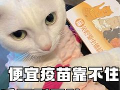 -康旭宠物医院(郑州总院)