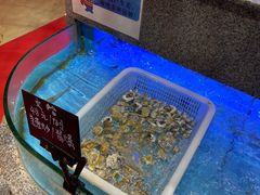 水产区-启东恒大酒店·吕四渔号海鲜餐厅