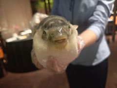 -肆月河豚·淮扬菜·湘菜(华天店)