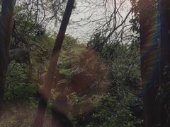 -华南国家植物园-售票处