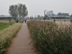 -汉长安城未央宫国家考古遗址公园